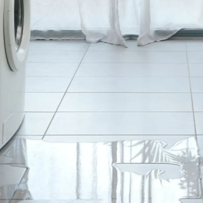 Appliance Leak Cleanup in Lee County, GA